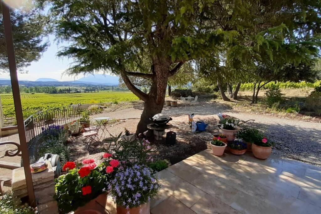 Le Clos Des Pins, Vue Mont Ventoux Roaix Экстерьер фото