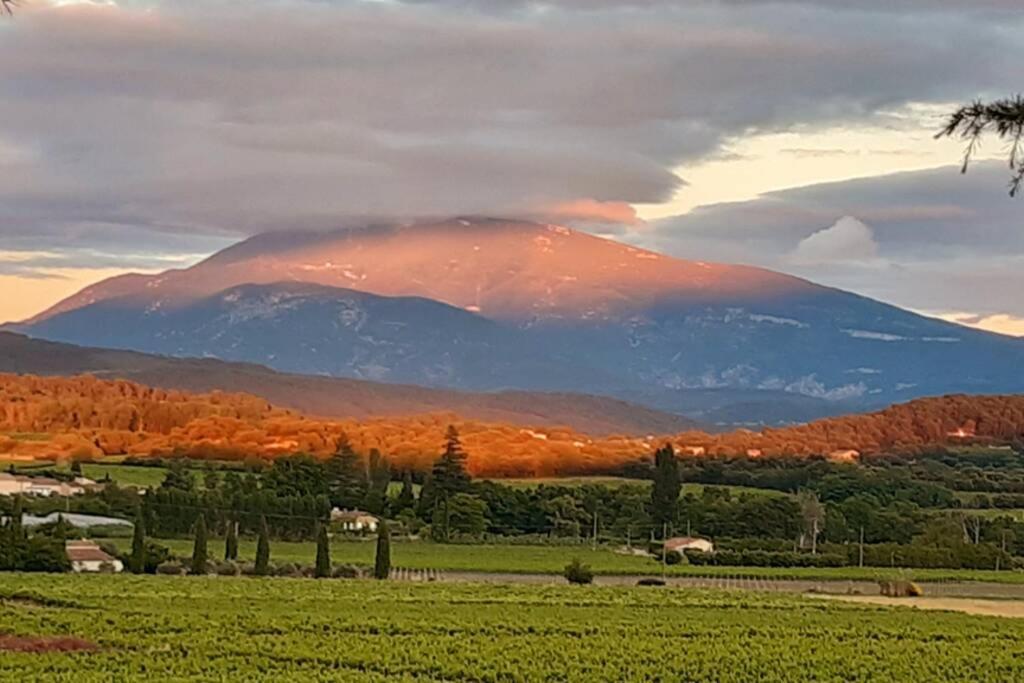 Le Clos Des Pins, Vue Mont Ventoux Roaix Экстерьер фото